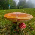 A In The Alps For Hiking, Cycling, Skiing Jesenice