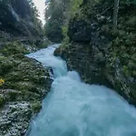 A In The Alps For Hiking, Cycling, Skiing Σπίτι διακοπών Jesenice