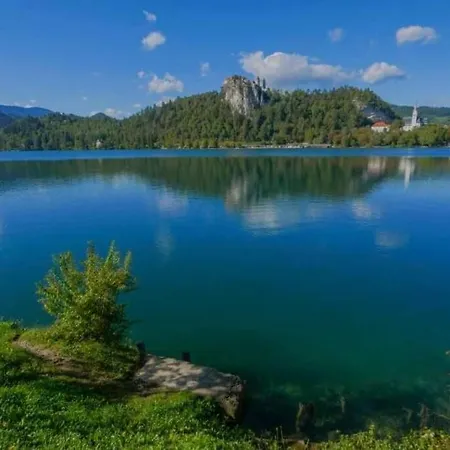 A In The Alps For Hiking, Cycling, Skiing Есенице