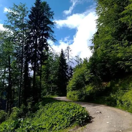 A In The Alps For Hiking, Cycling, Skiing