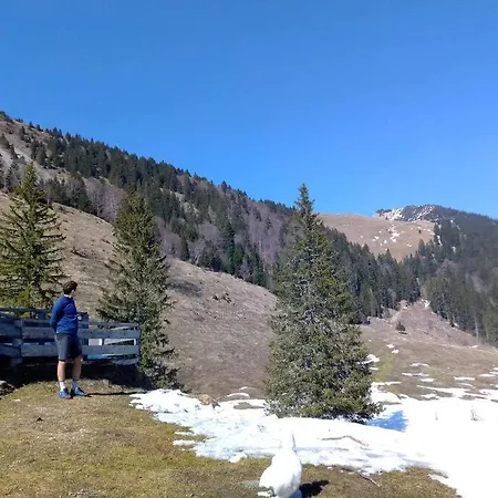 A In The Alps For Hiking, Cycling, Skiing בית נופש יסניצה