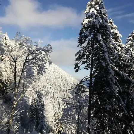 Сasa de vacaciones A In The Alps For Hiking, Cycling, Skiing *