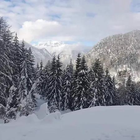 A In The Alps For Hiking, Cycling, Skiing בית נופש יסניצה