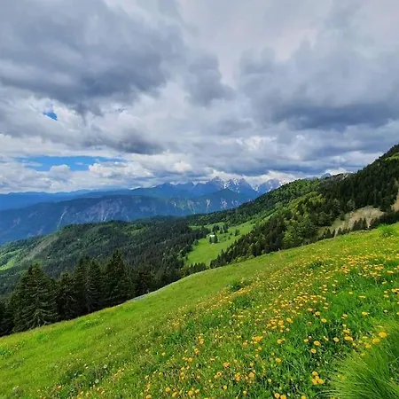 Дом отдыха A In The Alps For Hiking, Cycling, Skiing Есенице