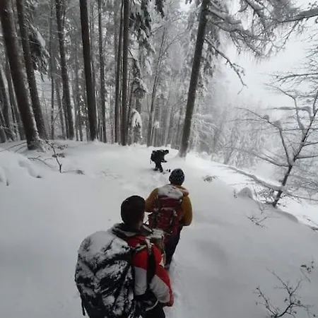 A In The Alps For Hiking, Cycling, Skiing Сasa de vacaciones Jesenice