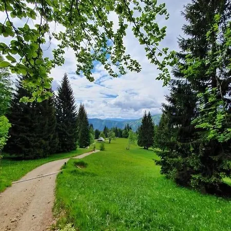 A In The Alps For Hiking, Cycling, Skiing *