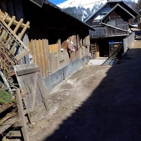 Tatil Evi A In The Alps For Hiking, Cycling, Skiing *