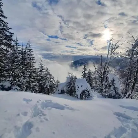 A In The Alps For Hiking, Cycling, Skiing