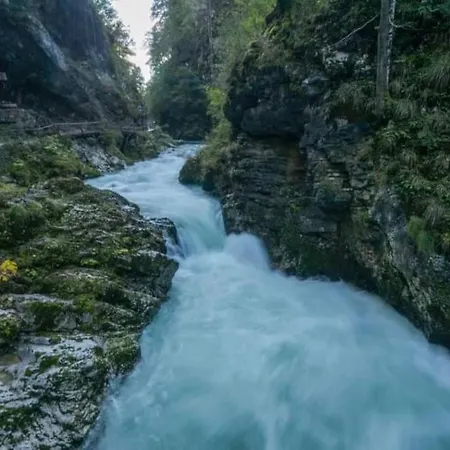A In The Alps For Hiking, Cycling, Skiing Дом отдыха Есенице