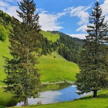 Σπίτι διακοπών A In The Alps For Hiking, Cycling, Skiing *