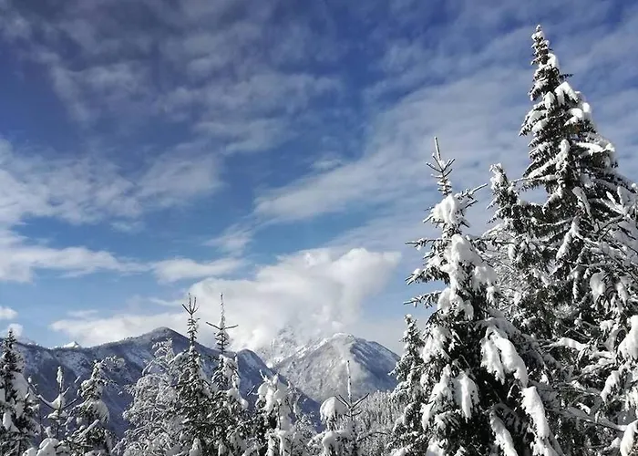 A In The Alps For Hiking, Cycling, Skiing Prázdninový dům