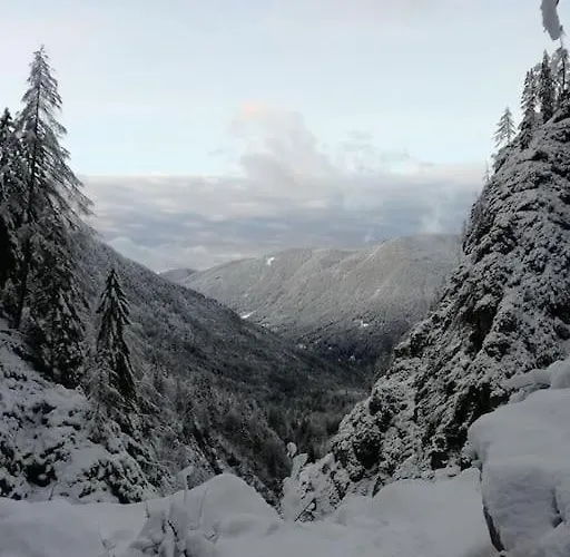 A In The Alps For Hiking, Cycling, Skiing *