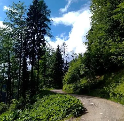 A In The Alps For Hiking, Cycling, Skiing