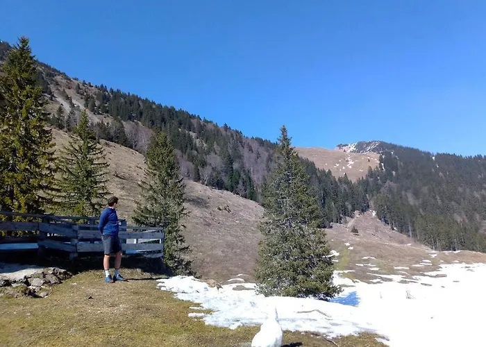 A In The Alps For Hiking, Cycling, Skiing Prázdninový dům Jesenice