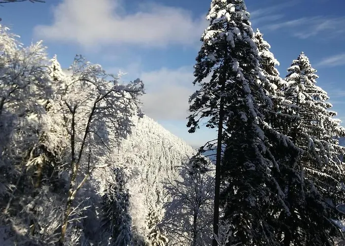 Prázdninový dům A In The Alps For Hiking, Cycling, Skiing *
