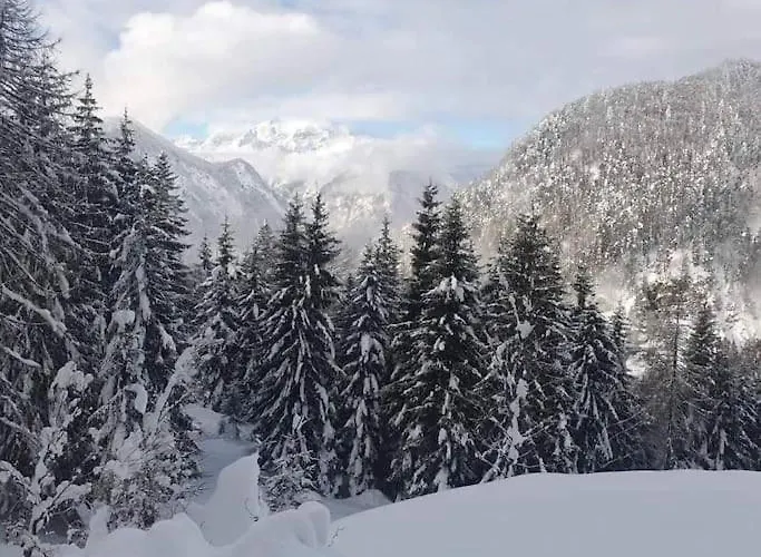 A In The Alps For Hiking, Cycling, Skiing Prázdninový dům Jesenice