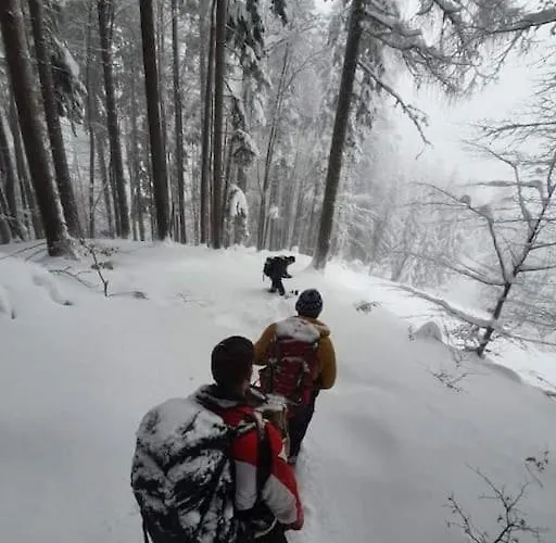 A In The Alps For Hiking, Cycling, Skiing بيت للعطل جيسينيس