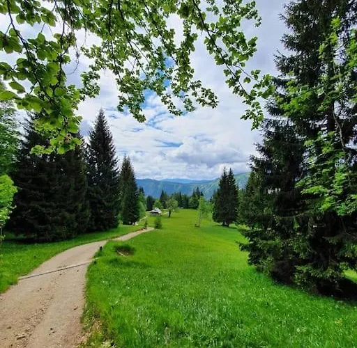 A In The Alps For Hiking, Cycling, Skiing *