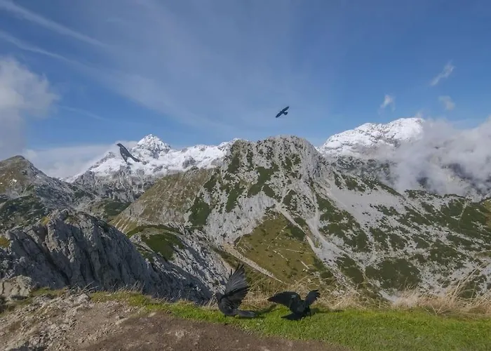 A In The Alps For Hiking, Cycling, Skiing