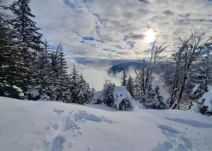 A In The Alps For Hiking, Cycling, Skiing