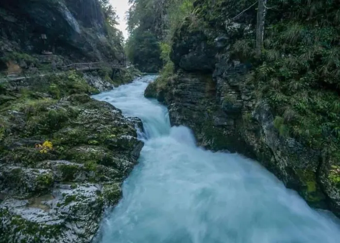 A In The Alps For Hiking, Cycling, Skiing بيت للعطل جيسينيس