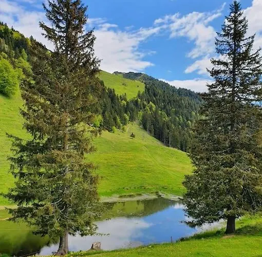 بيت للعطل A In The Alps For Hiking, Cycling, Skiing *